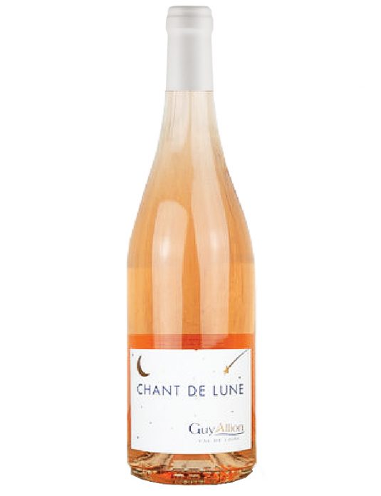 GUY ALLION<br />Chant de Lune